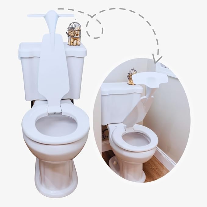 urinal toilet for home