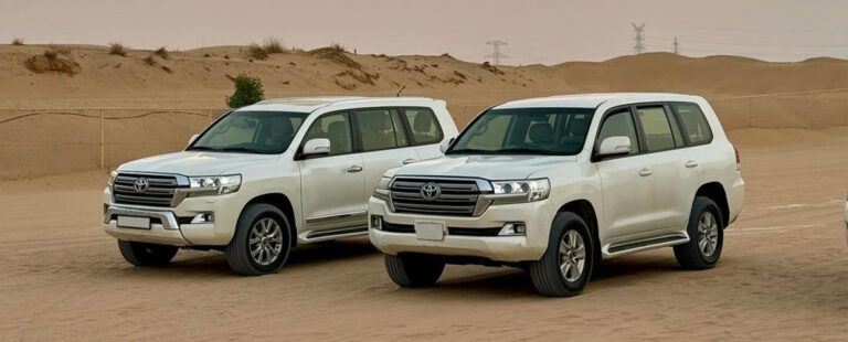 Dubai Desert Safari Tours