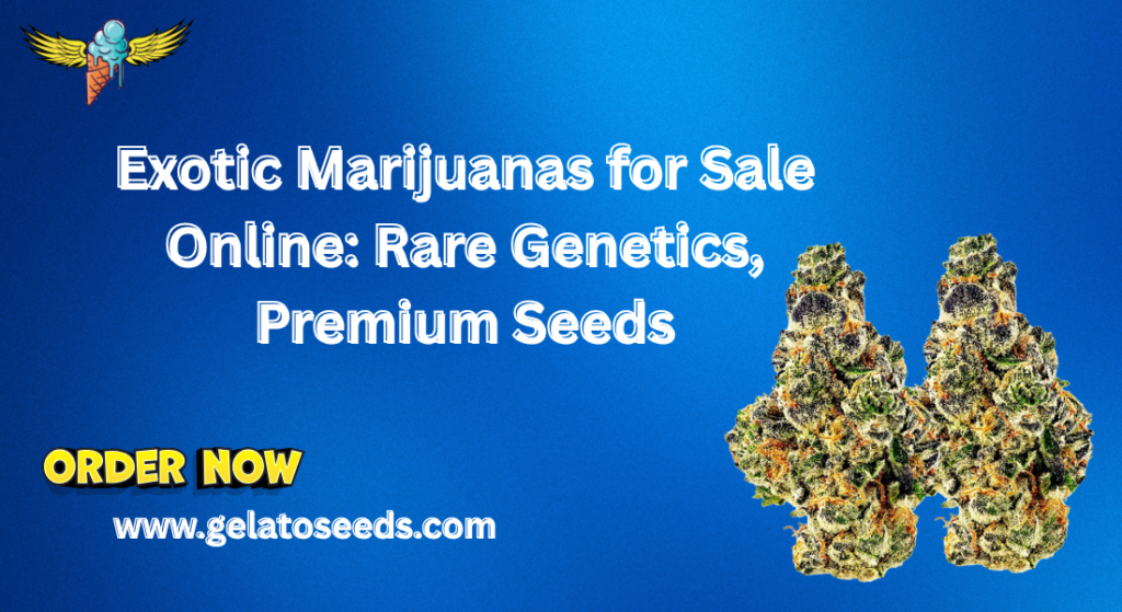 exotic marijuanas for sale online