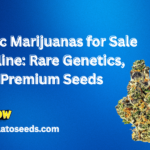 exotic marijuanas for sale online