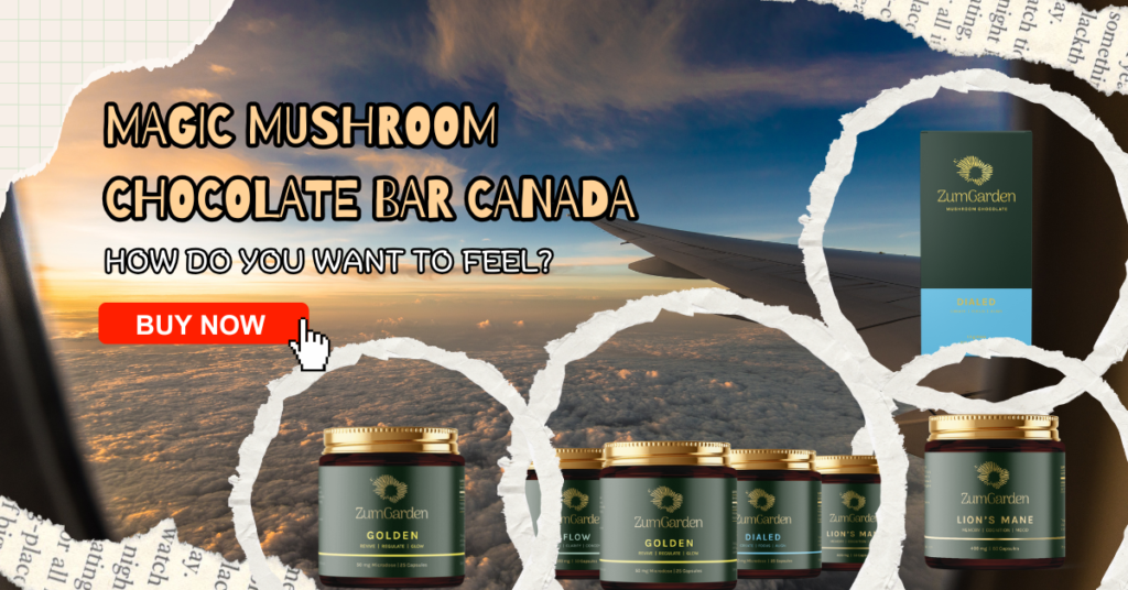 magic mushroom chocolate bars canada
