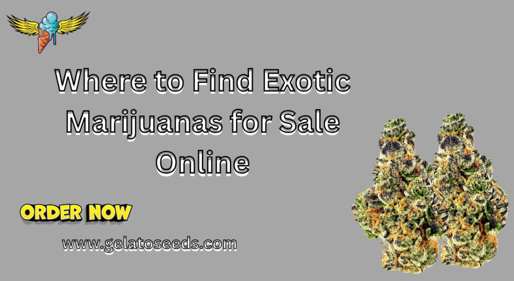 exotic marijuanas for sale online