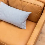 Best Eco-Friendly Sofa Stain Removal Solutions in Sydney