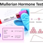 Low AMH Levels