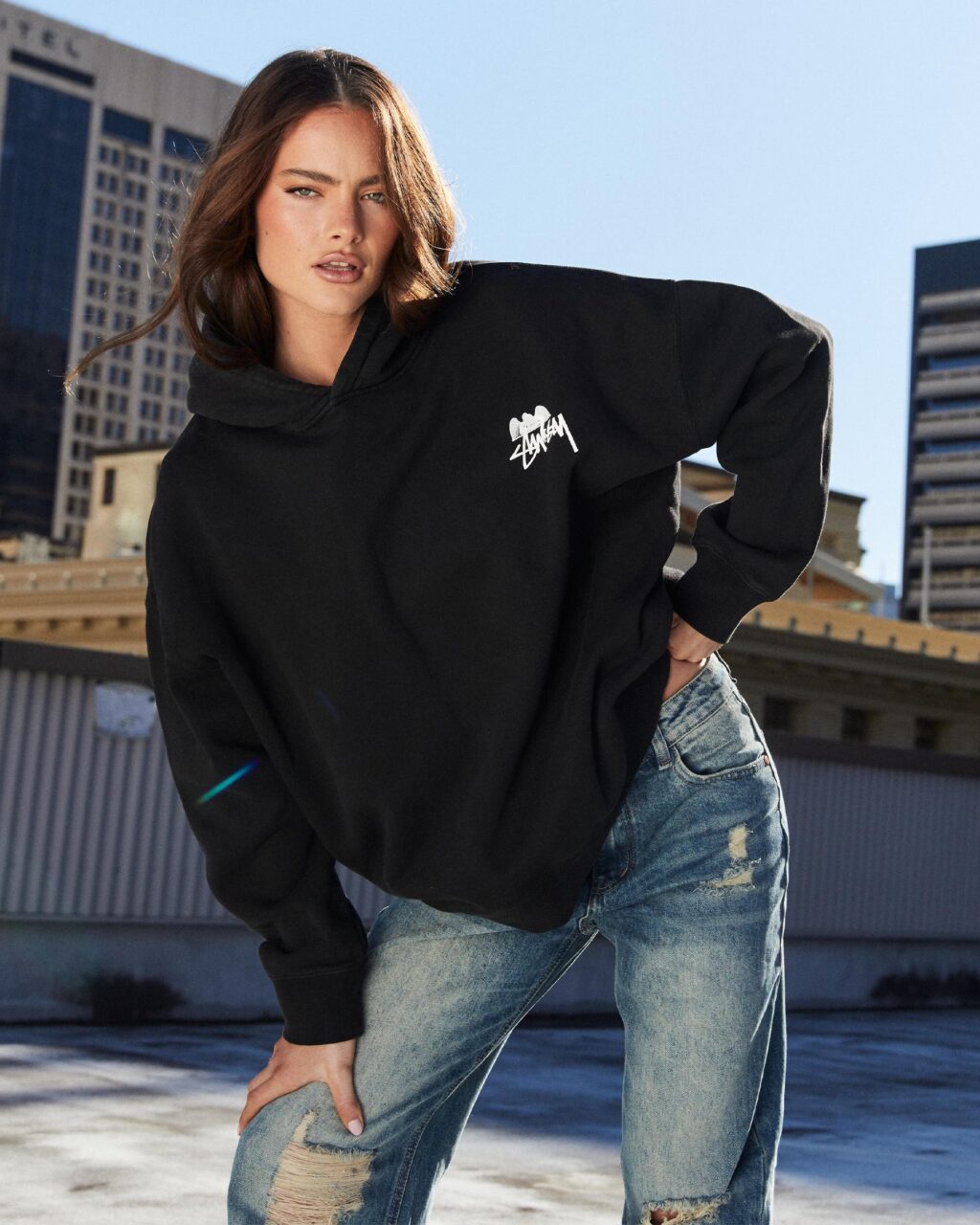 Stussy Hoodies A Quick Shopping Guide