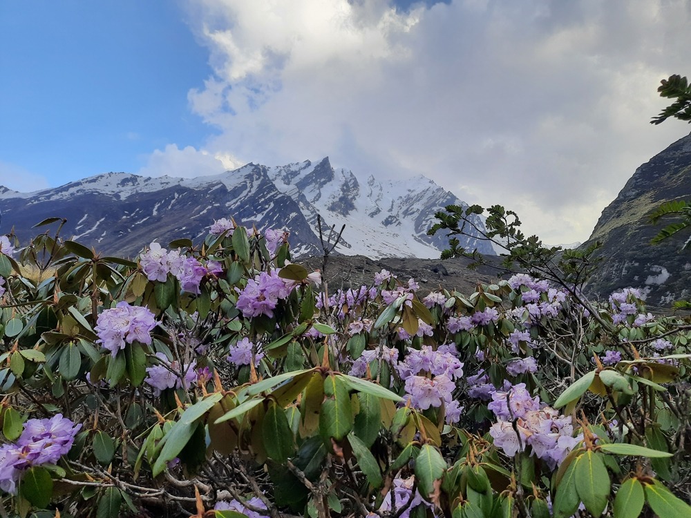 Bali Pass