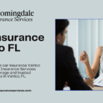 Car insurance Valrico FL