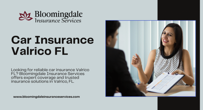 Car insurance Valrico FL