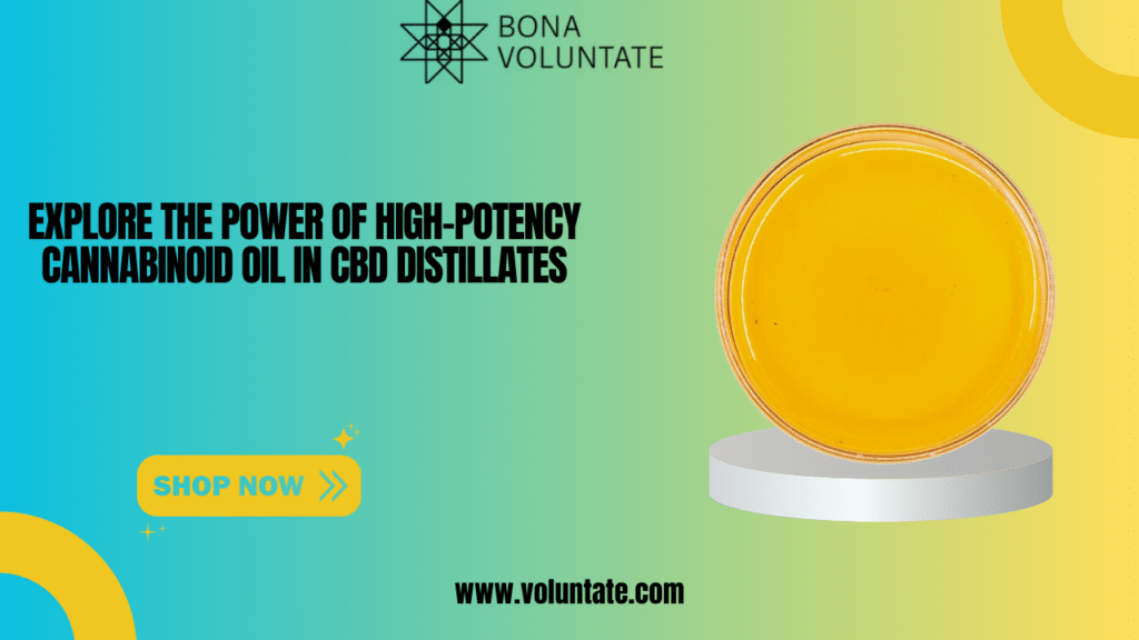 High-potency cannabinoid oil
