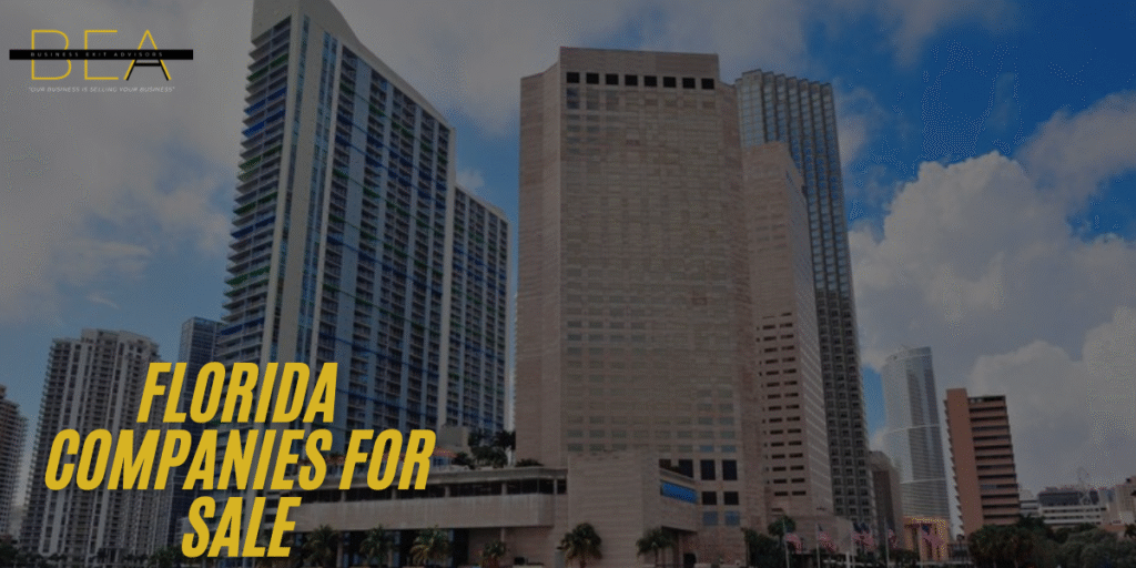Florida Companies for Sale (9)