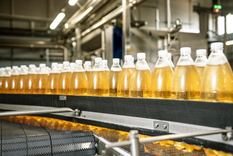 Ginger Beer Manufacturing Plant