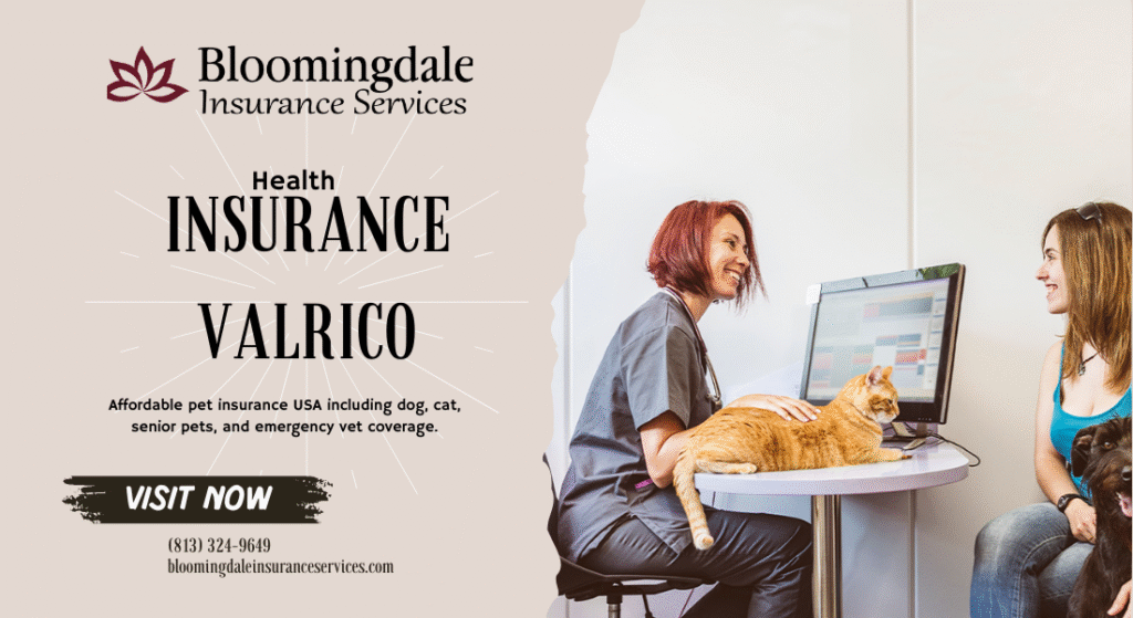 Health Insurance Valrico