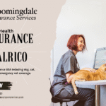 Health Insurance Valrico