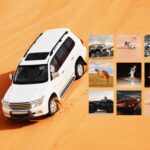 VIP Desert Safari vs Premium Desert Safari