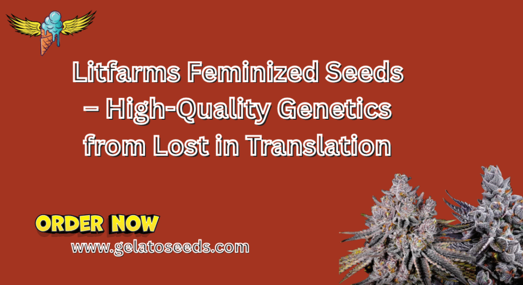 Litfarms Feminized Seeds