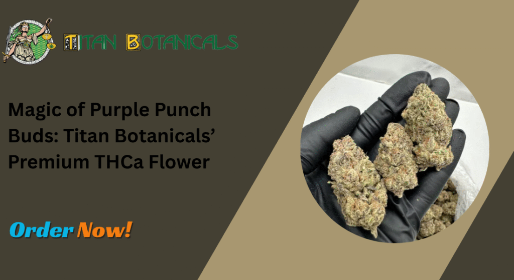 Purple Punch Buds