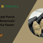 Purple Punch Buds