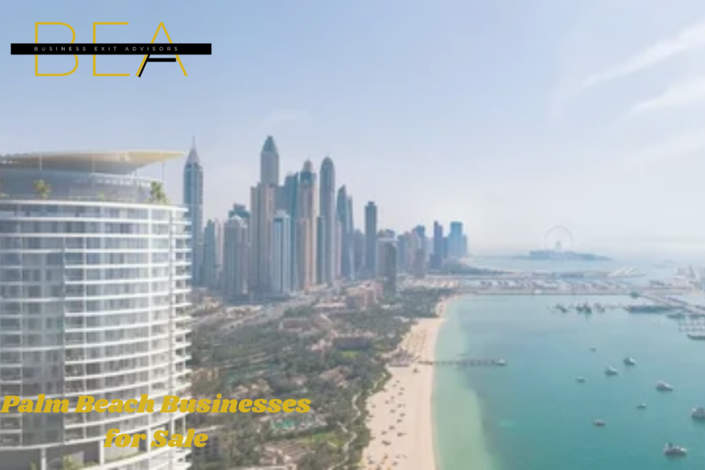 Palm Beach Businesses for Sale (3)