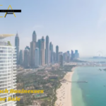 Palm Beach Businesses for Sale (3)