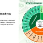 Full-spectrum hemp