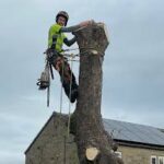 Tree Surgeon in Swindon
