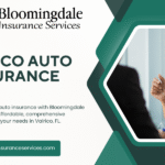Valrico Auto Insurance