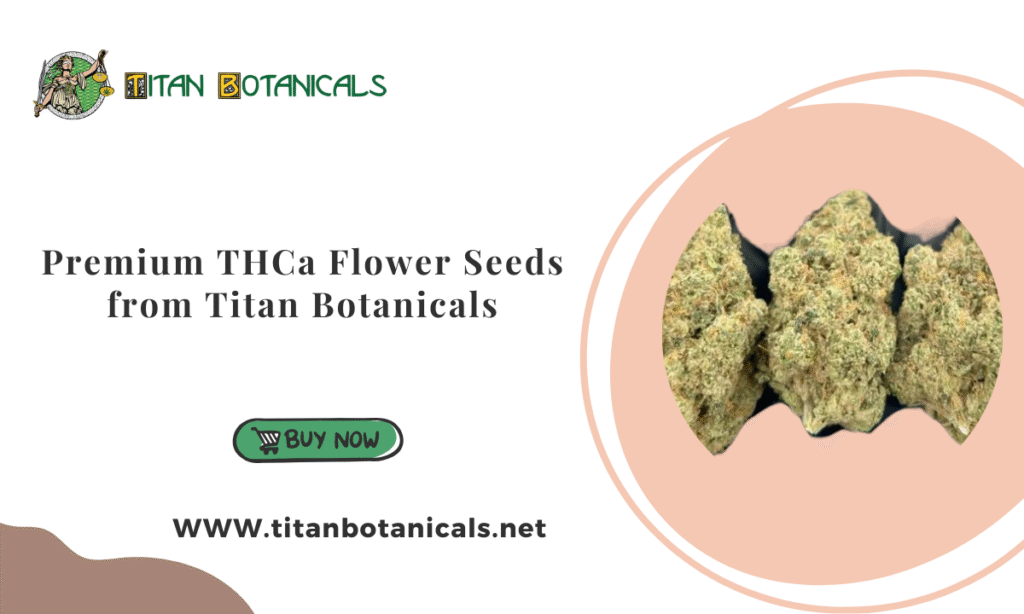 THCa Flower Seeds