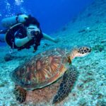diving