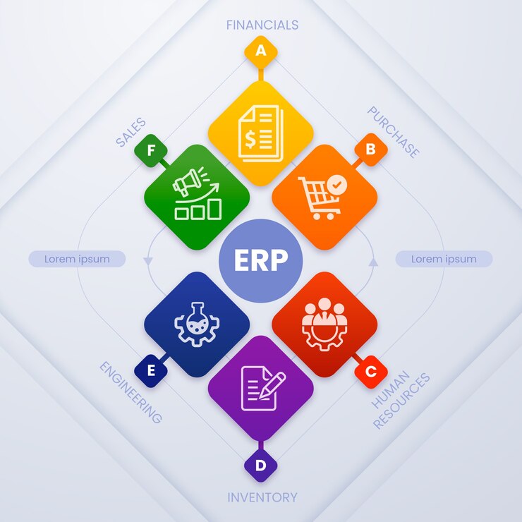 Navigating ERP Software in UAE’s Market