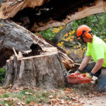 istockphoto-183813881-612x612 (4)