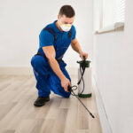 Pest Control Service