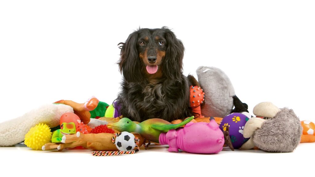 online pet store
