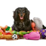 online pet store