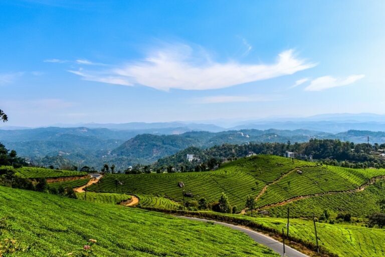 munnar
