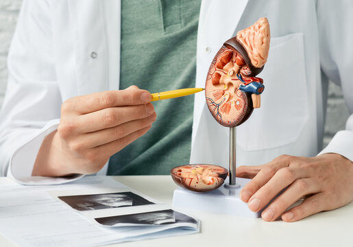 best urologist in Jaipur