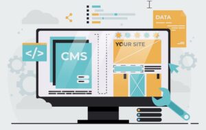 Custom Vs CMS Website Development Explained