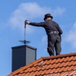 Chimney Animal Removal
