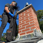 Chimney Animal Removal (1)