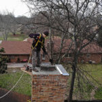 Chimney Animal Removal