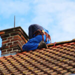 Chimney Animal Removal
