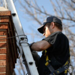 Chimney Animal Removal