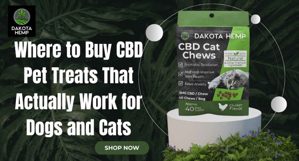 Buy CBD Pet Treats