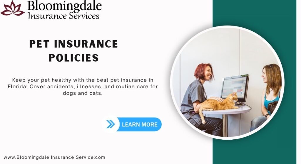 Pet Insurance Policies