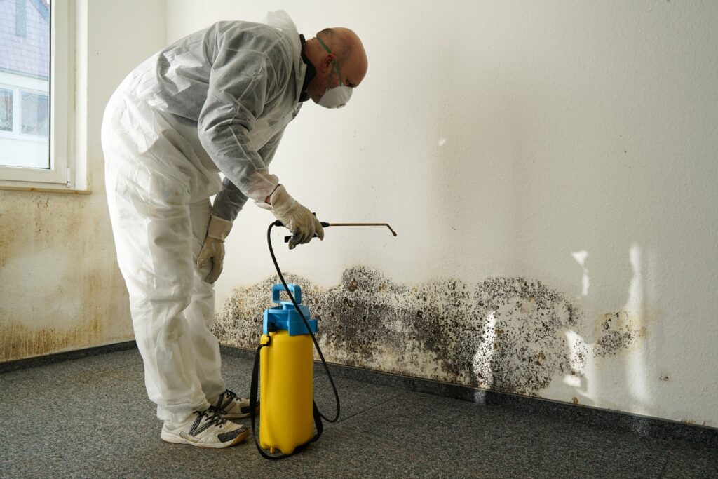 water damage restoration service