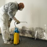 water damage restoration service