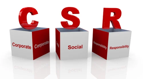 Explore how investing in CSR consulting helps businesses drive sustainable growth, build trust, and ensure long-term social impact.