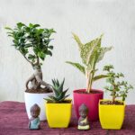 Home Decor Gifts Online