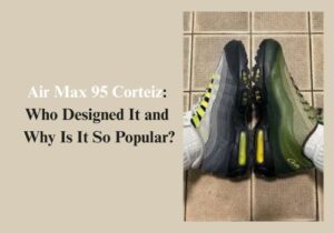 Air Max 95 Corteiz