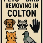 Pets And Bird Removing