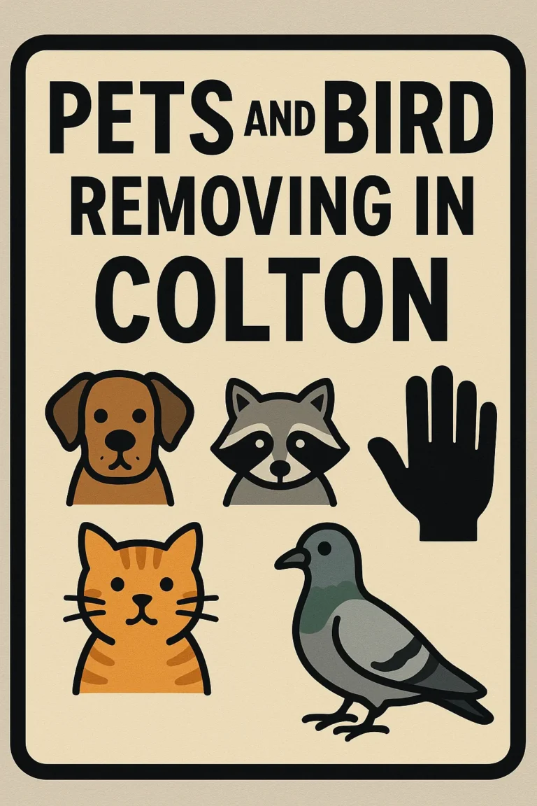 Pets And Bird Removing